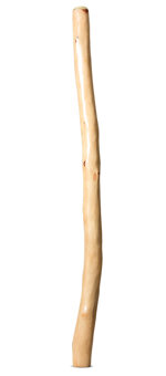 Earl Clements Didgeridoo (EC375)